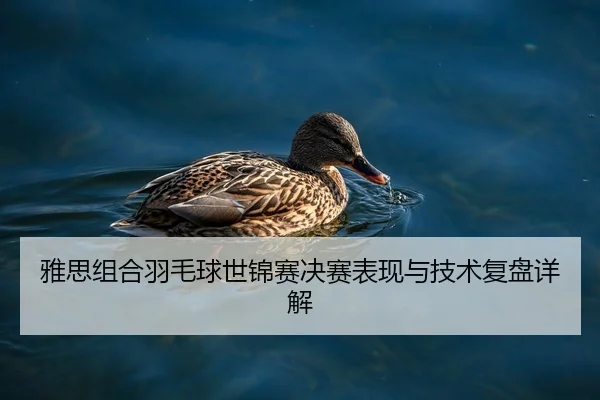 雅思组合羽毛球世锦赛决赛表现与技术复盘详解